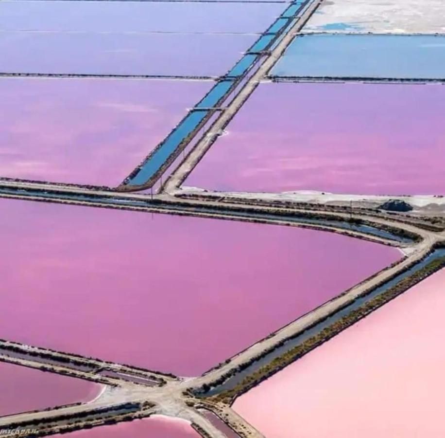 Le Soupir Des Palmiers. Ideal Couple, Piscine, Mer La Grande-Motte Kültér fotó